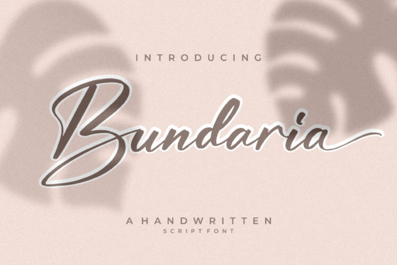 Bundaria Script Font Review