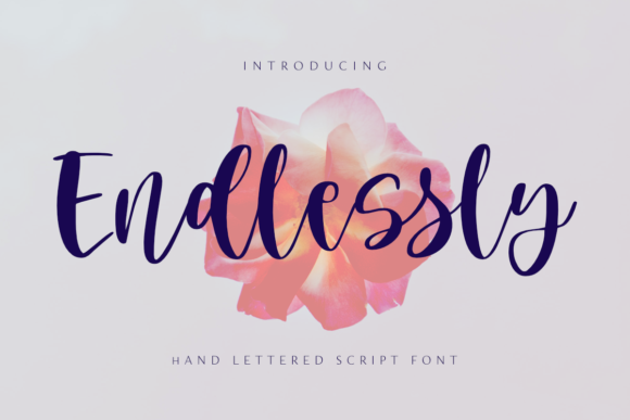 Endlessly Font for Web Design Projects