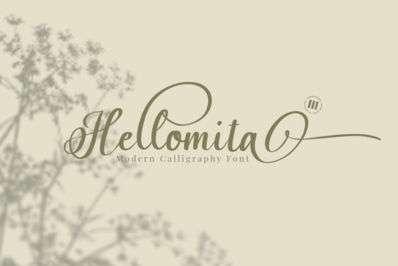 Hellomita: Elevate Your Campaign with a Graceful Script Font