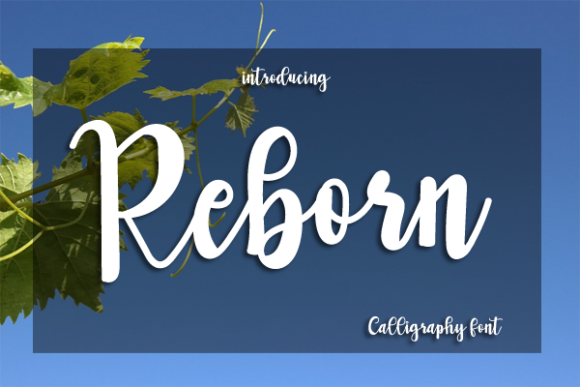 Reborn Font: A Playful Script for Web Design