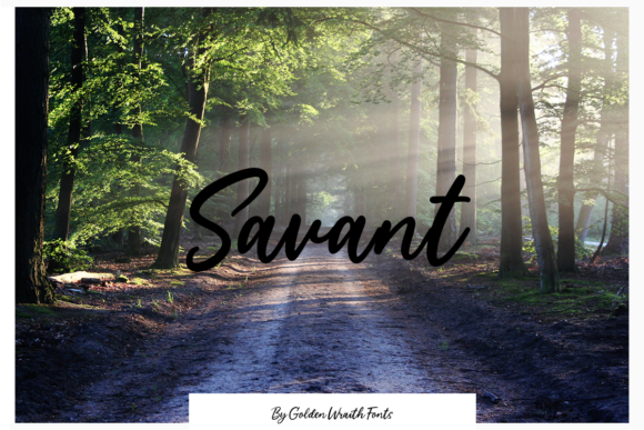 Savant Script Font Review for Real Design Projects