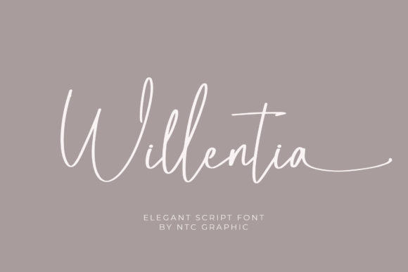 Willentia: A Graceful Script Font for Digital Campaigns